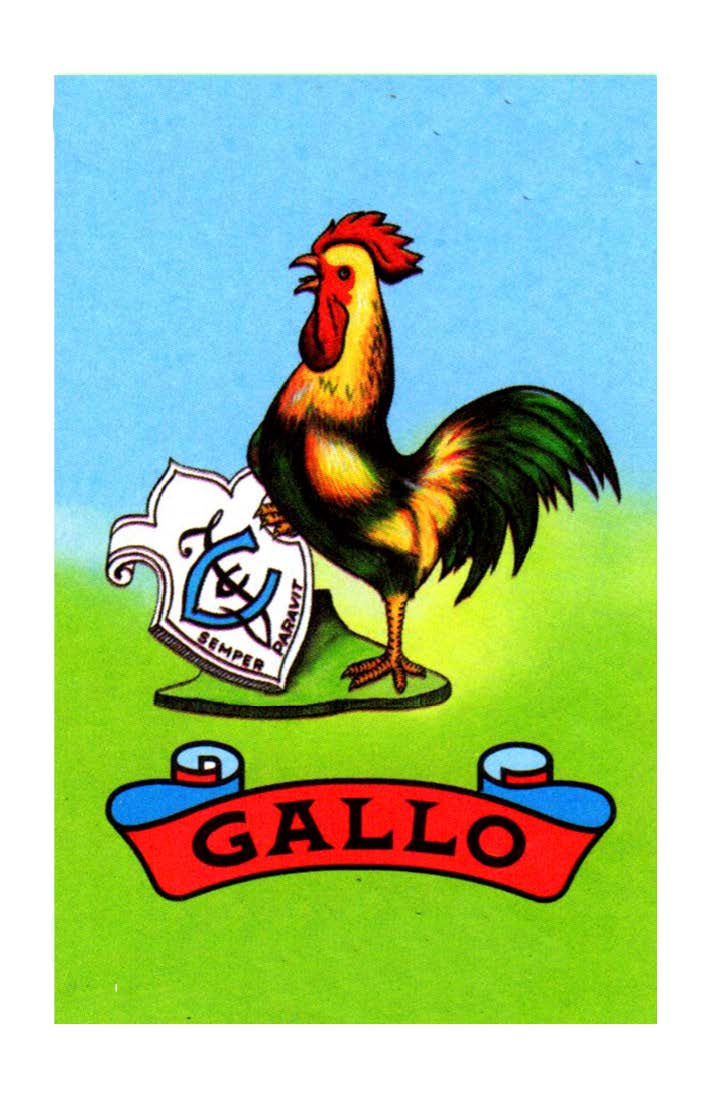 Gallo Loteria Card